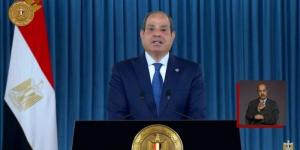 الرئيس السيسي: الدولة المصرية حققت إنجازات كبيرة فى وقت انهارت فيه دول - بلس 48