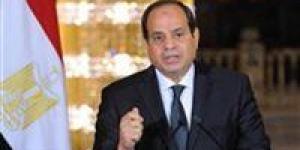 الرئيس السيسي: وعي المصريين جعل مصر ملاذًا آمنًا وسنظل سدًا منيعًا في وجه التحديات - بلس 48