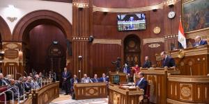 خارجية الشيوخ: دعوات التظاهر أمام سفارات مصر «ابتزاز رخيص» يخدم الاحتلال - بلس 48