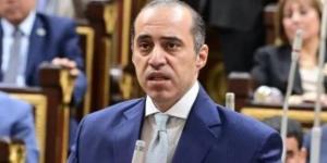 المستشار محمود فوزي :  نزول المواطنين بكثافة يعدّ ضمانة حقيقية لنزاهة الانتخابات - بلس 48