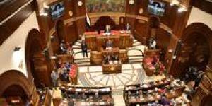بالموبايل.. كيفية الاستعلام عن لجنة الانتخابات في مجلس الشيوخ - بلس 48