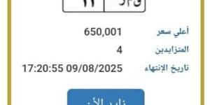 اقتربت من مليون جنيه.. مزايدة نارية على لوحة سيارة مميزة - بلس 48