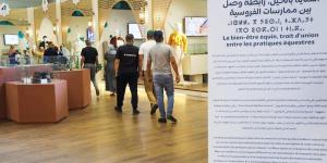 معرض
      الفرس
      يجذب
      150
      ألف
      زائر - بلس 48