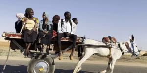 قطر
      تبرمج
      فعاليات
      "أصداء
      السودان" - بلس 48