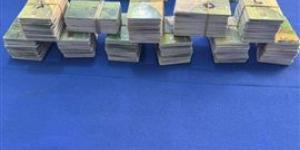 تموين
      الشرقية
      يضبط
      2,600
      بطاقة
      تموينية
      و77
      شيكارة
      دقيق
      بلدي
      مدعم
      في
      حملات
      مكثفة - بلس 48