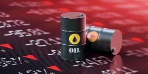 ارتفاع
      أسعار
      النفط
      عند
      التسوية
      ... - بلس 48