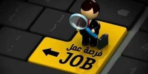 فرصة
      عمل
      مميزة
      في
      بنك
      أبوظبي
      ... - بلس 48