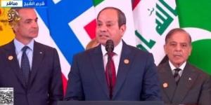 الرئيس السيسى: السلام سيظل خيار مصر الاستراتيجى - بلس 48