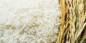 سعر
      طن
      الأرز
      اليوم
      الثلاثاء
      عند
      التاجر..
      اعرف
      وصلت
      لكام - بلس 48