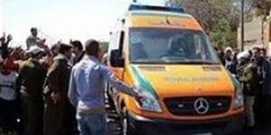مصرع
      عامل
      وإصابة
      18
      آخرين
      في
      حادث
      انقلاب
      سيارة
      بالطريق
      الصحراوي
      بالبحيرة - بلس 48