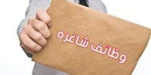 فرص
      عمل
      جديدة
      بالقطاع
      الخاص
      في
      الجيزة..
      تفاصيل - بلس 48