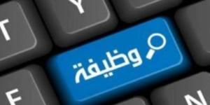 فرصة
      عمل
      جديدة
      في
      بنك
      مصر..
      ... - بلس 48