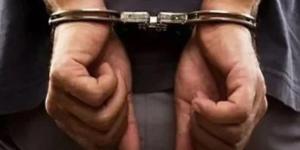 حبس الأب المتهم بدهس طلاب فى بيفرلي هيلز الشيخ زايد 4 أيام - بلس 48