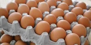 هبوط
      في
      سعر
      كرتونة
      البيض
      اليوم
      الإثنين
      بالمزرعة..
      وصلت
      لكام - بلس 48