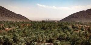شباب أنباج يرفضون عرقلة فرص الشغل - بلس 48