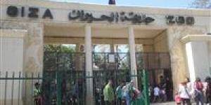 حديقة
      الحيوان
      بالجيزة
      تستعد
      للعودة
      بوجه
      عالمي
      بعد
      تطوير
      شامل - بلس 48
