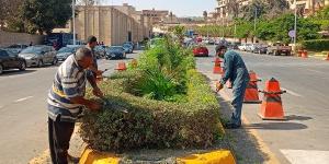 محافظ الجيزة: صيانة شاملة للمسطحات الخضراء والأشجار بمحيط المتحف المصري الكبير والطرق المؤدية إليه - بلس 48