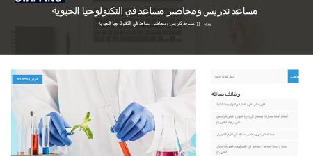 وظيفة جامعة.. جامعة اكتوبر للعلوم الحديثة والآداب تعلن عن وظائف أعضاء هيئة التدريس.. التفاصيل الكاملة - بلس 48