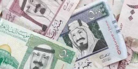 سعر الريال السعودي مقابل الجنيه المصري في مصر اليوم الإثنين 23-9-2024 - بلس 48