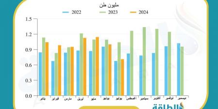 الهيدروجين والتعدين.. سلاحا الجزائر لتنويع الاقتصاد بعيدًا عن المحروقات - بلس 48