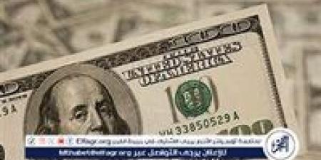 بالبلدي: سعر الدولار اليوم أمام الجنيه المصري: استقرار بعد الزيادة الطفيفة في البنوك - بلس 48