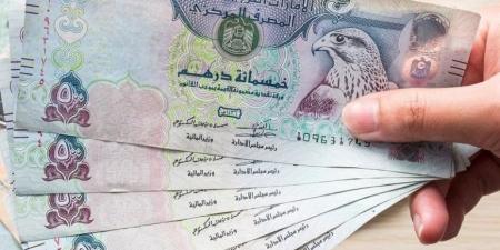 بالبلدي : سعر الدرهم الإماراتي مقابل الجنيه المصري اليوم الأربعاء 25 سبتمبر 2024 - بلس 48