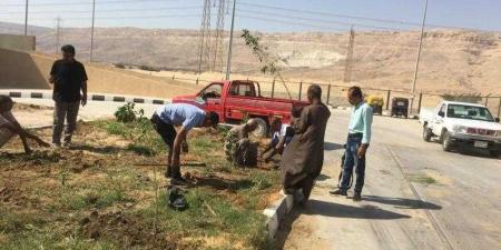 محافظ أسيوط: استمرار تنفيذ أعمال تشجير وزراعة شتلات بمركز أبوتيج ضمن مبادرة ”زراعة 100مليون شجرة”