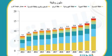 خريطة وظائف الطاقة المتجددة عالميًا.. 5 أسواق تستحوذ على 80% (تقرير) - بلس 48