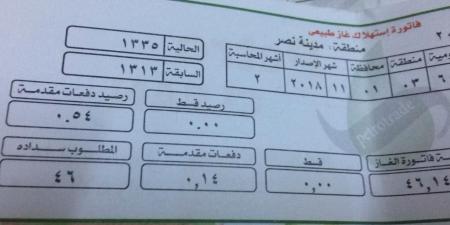 أون لاين.. خطوات الاستعلام عن فاتورة الغاز (اعرف طرق السداد) - بلس 48