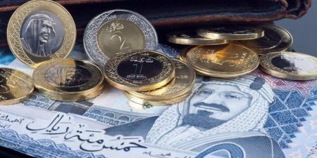 بالبلدي : سعر الريال السعودي في البنوك بختام تعاملات اليوم 6 أكتوبر 2024 - بلس 48