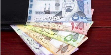 بالبلدي : سعر الريال السعودى في مصر اليوم.. الأربعاء 9 أكتوبر 2024 - بلس 48