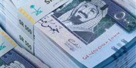 سعر الريال السعودي داخل البنوك اليوم الأربعاء - بلس 48