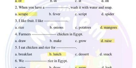 بالبلدي: مراجعات نهائية.. حل تقييم الأسبوع الثاني لغة انجليزية الصف الرابع الابتدائي - بلس 48