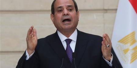 الرئيس السيسي يعود إلي أرض الوطن بعد زيارة إلي دولة إريتريا - بلس 48