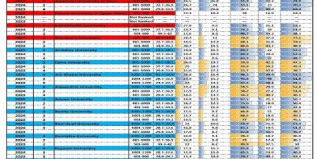 بالبلدي: التعليم العالي تكشف عن 35 جامعة مصرية تُسجل إنجازًا مميزًا في تصنيف التايمز العالمي لعام 2025 - بلس 48