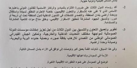 قمة مصرية إريترية صومالية .. ماذا حمل البيان المشترك للدول الثلاث؟ - بلس 48