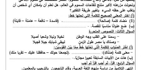 بالبلدي : اختبار شهر أكتوبر للصف السادس الابتدائي لغة عربية 2024 /2025 - بلس 48