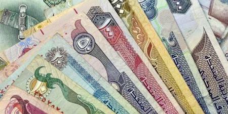 أسعار العملات العربية اليوم 14-10-2024.. سعر الريال السعودي 12.91 جنيه للبيع - بلس 48