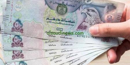 تعرف على سعر الدرهم الاماراتي أمام الجنيه المصري اليوم الثلاثاء - بلس 48