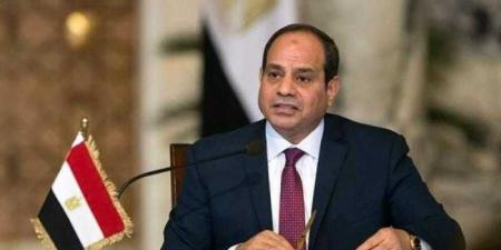 الرئيس السيسي: مصر تواصل جهودها لتطوير قطاعات الاتصالات وتكنولوجيا المعلومات - بلس 48