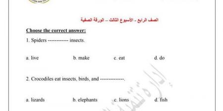 مراجعات نهائية.. اسئلة تقييم الأسبوعين الثالث والرابع لغة انجليزية الصف الرابع الابتدائي - بلس 48