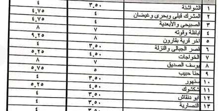 بعد تحريك أسعار البنزين والسولار..محافظ الفيوم: الإعلان عن تعريفة الركوب الجديدة لسيارات الأجرة والتاكسي - بلس 48