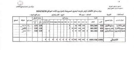 بيع 1664 قنطارا في أول أيام مزاد القطن بالمحلة الكبرى.. اعرف التفاصيل - بلس 48