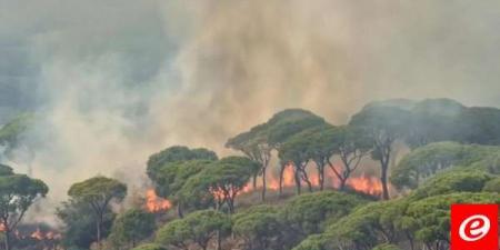 حريق كبير في أحراج الصنوبر في جزين - بلس 48