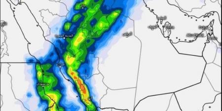 "الأرصاد": أمطار متوسطة وغزيرة على معظم مناطق المملكة - بلس 48