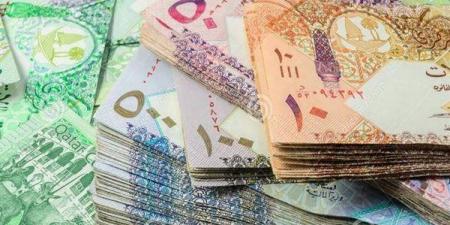 سعر الريال القطري اليوم الثلاثاء 26-11-2024 في البنك المركزي المصري - بلس 48