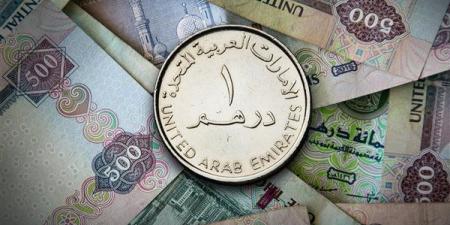 سعر الدرهم الإماراتي اليوم الجمعة 29-11-2024 في البنك المركزي المصري - بلس 48