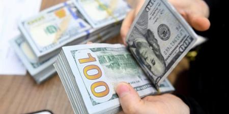 سعر الدولار اليوم الأربعاء 4-12-2024 في البنك المركزي المصري - بلس 48