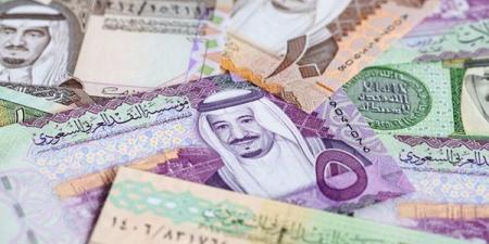 سعر الريال السعودي اليوم الأربعاء 4-12-2024 في البنك المركزي المصري - بلس 48