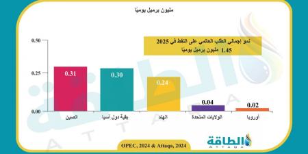 توقعات الطلب على النفط في 2025.. أوبك تخالف الاتجاه (تقرير) - بلس 48